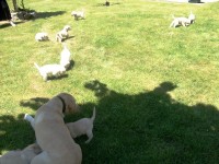 /album/fotos-recentes-/fotos-070-jpg/